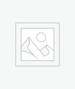 Nơi nhập dữ liệu